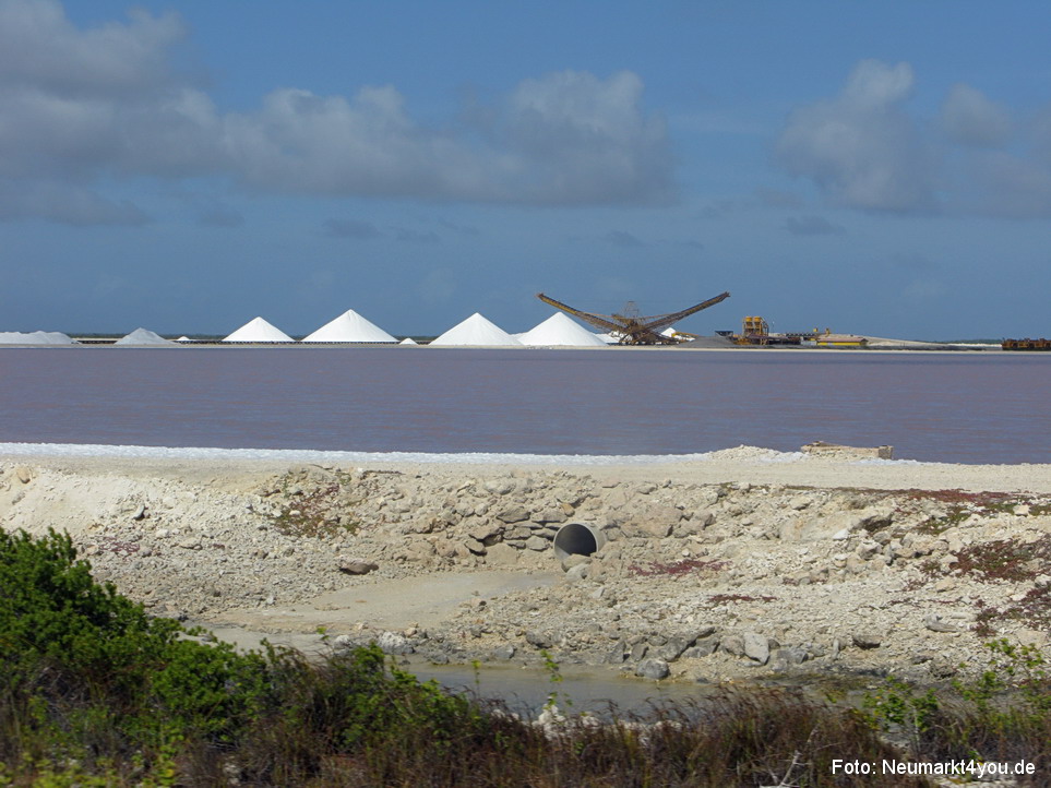 0028 Insel Bonaire 2009